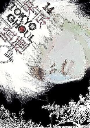Tokyo Ghoul, Vol. 14 (14) Paperback Comics NEW Diamond Comic Distributors, Inc.